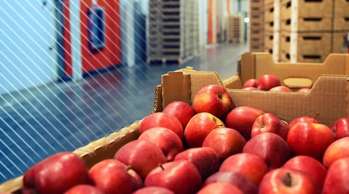 A box of apples